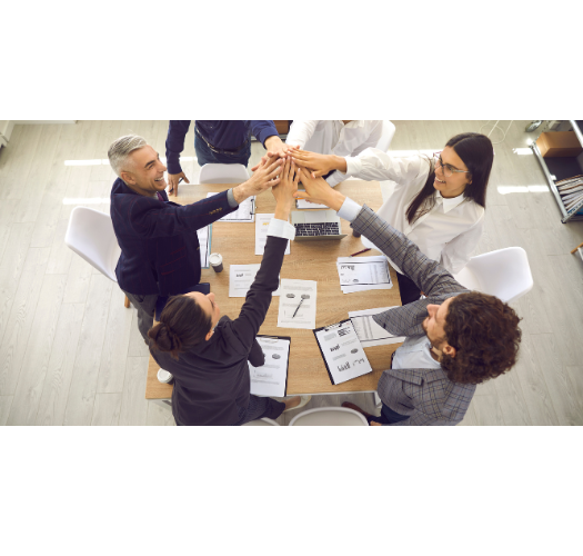 We build teams -